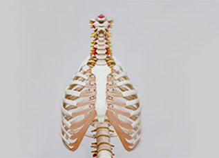 "Why Does My Back Hurt?" Top 4 Most Common and Treatable Reasons Causing You Pain